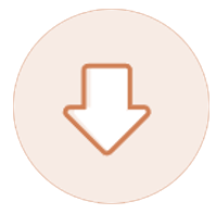 Example Image